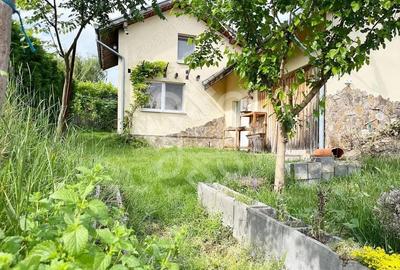 Casa cu teren 2052 mp in Saldabagiu de Munte - 11