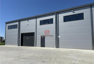 Depozit/hala/spatiu industrial Theodor Pallady - Drumul Int - 1