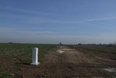 Domnesti-Ciocarliei, Afinului - 7