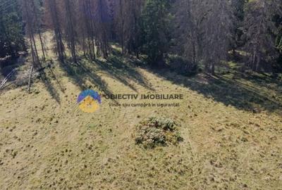 Teren de vanzare 5000 mp Piatra Neam? - 6