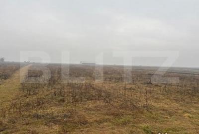 Teren de 3000 mp, în Central - 4