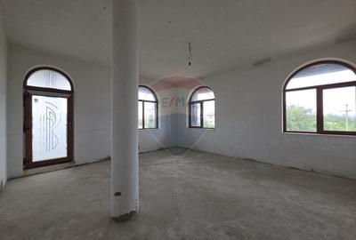 De vanzare proprietate unicat in Sascut - Bacau - 43