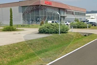 Teren de 2600 mp, în Tăuții-Măgherăuș - 5