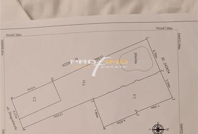 Faleza Nord - Bld.Mamaia - vila D+P+M cu 4 camere garaj si dependinte - 10