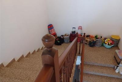Afacere La Cheie Otopeni- Therme Hala Industriala Showroom - 6