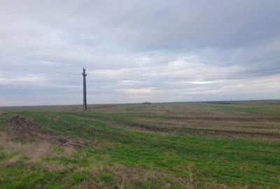 Teren de 2297 mp, în Satchinez - 3