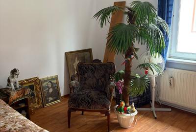 Casă individuală cu 4 camere cu Teren 70 Mp în Reșița - 8