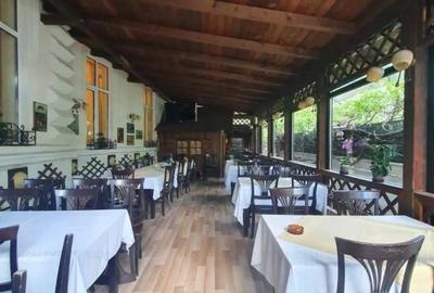 Casă cu Teren 350 Mp în Cișmigiu - 8