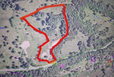 Teren de 35000 mp, în Lepșa - 1
