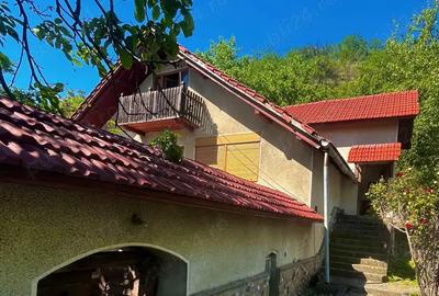 Vand casa cu teren in Paulis - 3