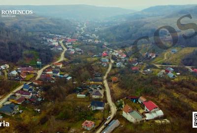 Spațiu comercial, în Ștefănești - 5