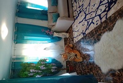 Casa de vanzare,,teren 1350 m2 - 8