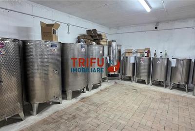 Casă cu 4 camere cu Teren 3000 Mp în Cricău - 6