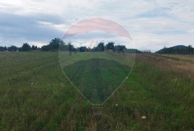 TEREN INTRAVILAN 2900 mp SIMLEU SILVANIEI/ Str. Corneliu Coposu/Salaj - 7
