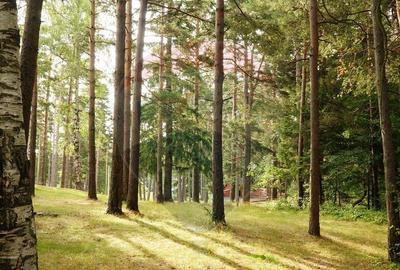 Spațiu comercial, de 510 mp, în Bisoca - 9