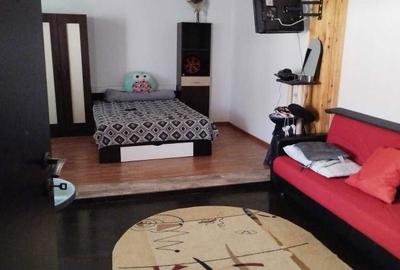 Casă în Paltiniș - 7