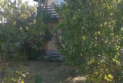 Casă cu Teren 600 Mp în Viișoara - 3
