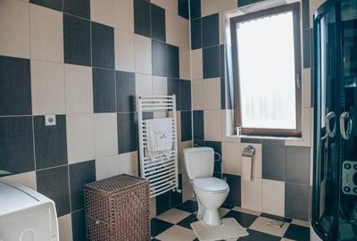 Vila cu piscina Fantanele, Arad - 13