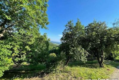 Teren zona turistica Rosia - 2