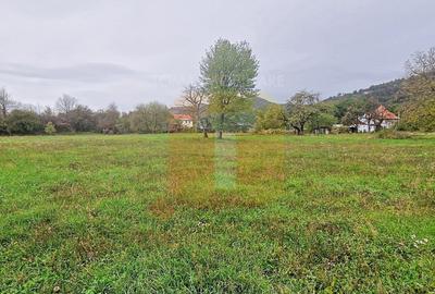 Teren intravilan de vânzare – 1.350 mp – Comuna Alexandru cel Bun - 8