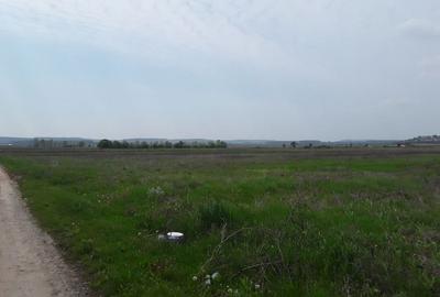 Teren extravilan, Cotofenii din Fata, jud Dolj -id 6954-0... - 8