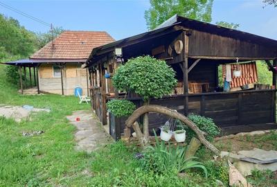 Casa cu teren si padure la tara