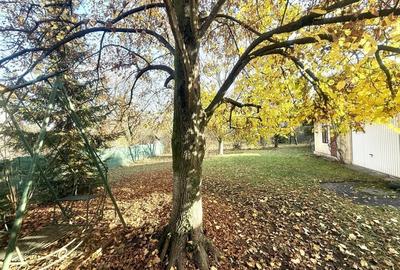 Casă 122 mp+garaj,  teren 1771 mp-Campina aproape de școala centrală! - 24