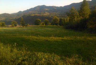 Teren intravilan 5360mp Bistrita Nasaud | Tiha Bargaului - 3