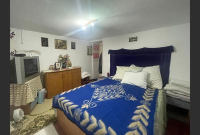 Casa cu garaj in Calnic, 231 mp construiti - 13