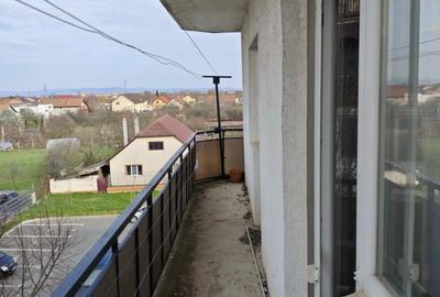 Vand ap,2 camere Micalaca(str.Voinicilor) vizavi de Profi ,centrala gaz - 8