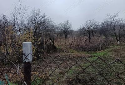 Vand casa Perieni - 6