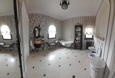 Domeniu  in Prahova- probabil una dintre cele mai frumoase reședințe - 19