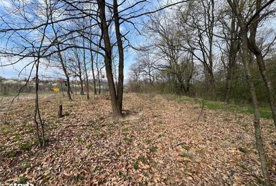 Spațiu comercial, în Săldăbagiu de Munte