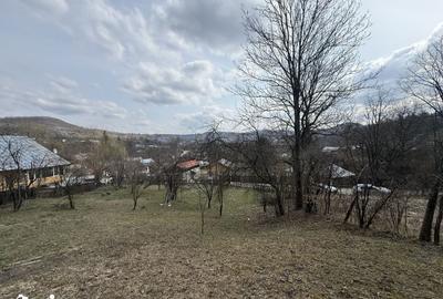 Teren de 6040 mp, în Provița de Jos - 8