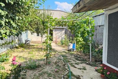 Casa 4 camere, Radu Negru, Teren - 264 mp - 16