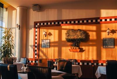 Timisoara, OPORTUNITATE INVESTITIE, hotel, clinica sau azil, 41 camere - 7