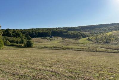 Teren de 6500 mp, în Bozeni - 2