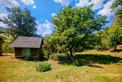 CASA TRADITIONALA, ANEXE si 46.980 mp teren partial INTRAVILAN BULZ - BIHOR - 6