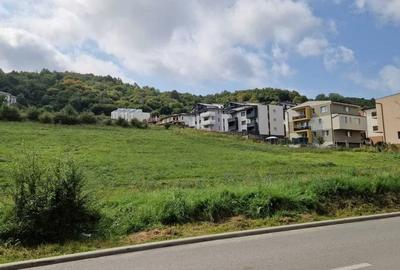 Teren Construcții intravilan de 4737 mp, în Florești - 6