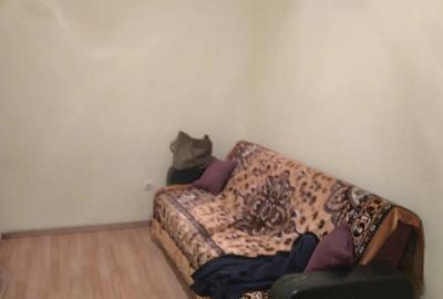Apartament 2 cam - 2