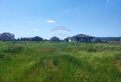 Teren Intravilan 4,007 mp Fughiu, Baraj, Crisu Repede, Vanzare - 1