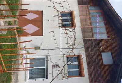 Casa de vanzare comuna Godine?ti complet utilata - 7