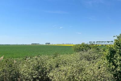 Afumati  Vanzare suprafata  teren 5,29 hectare( intravilan - extravilan) - 4