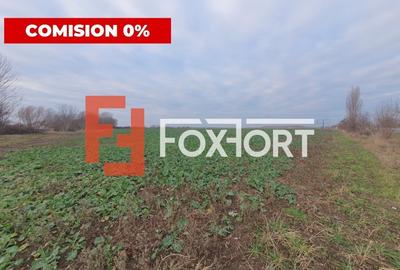COMISION 0% Teren extravilan 20.000 mp la sosea in Sag - 5