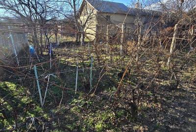 Casă cu 4 camere în Beciu - 11