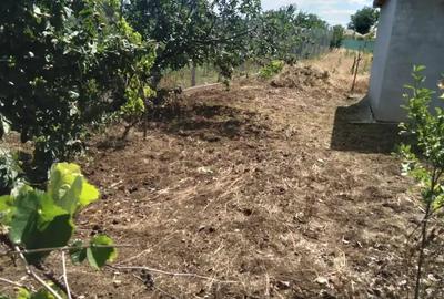 Casă cu 5 camere cu Teren 788 Mp în Tecuci - 2