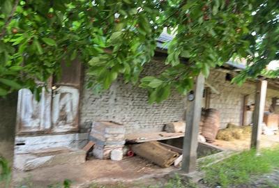 Casă cu 2 camere în Marotinu de Jos - 2