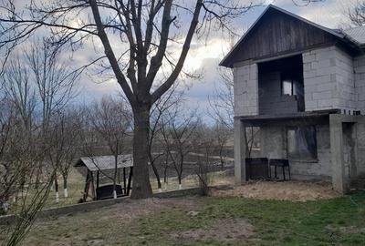 Casă cu Teren 5400 Mp în Fântâna Mare - 4