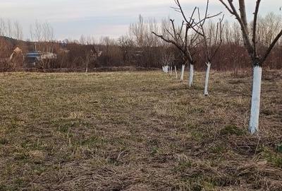 Spațiu comercial, în Central - 8