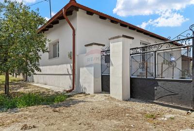 Casa spatioasa 244 mp cu teren generos 2.834 mp - Satu Mare, Secusigiu